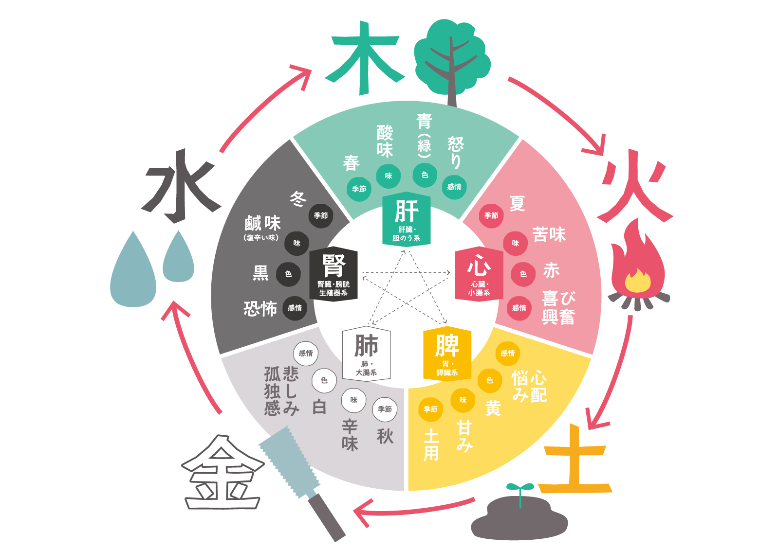 東洋医学(中医学)